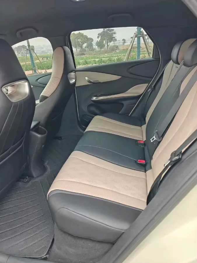 2025 BYD Dolphin BEV 44.928KWH,autocango,china used car exporter,china ev exporter,chinese used car exporter,chinese used ev exporter