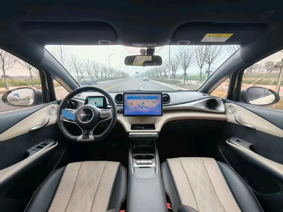 2025 BYD Dolphin BEV 44.928KWH,autocango,china used car exporter,china ev exporter,chinese used car exporter,chinese used ev exporter