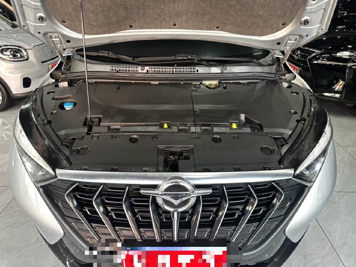 2020 HaiMa 7X 1.6T 195HP L4 6AT,autocango,china used car exporter,china ev exporter,chinese used car exporter,chinese used ev exporter
