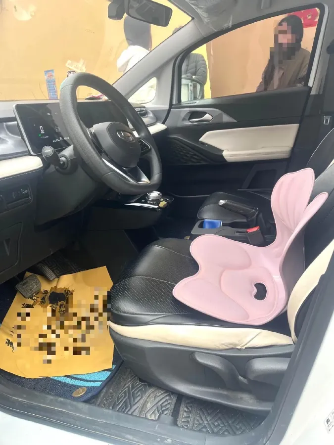 2024 Geometry E BEV 29.67KWH,autocango,china used car exporter,china ev exporter,chinese used car exporter,chinese used ev exporter