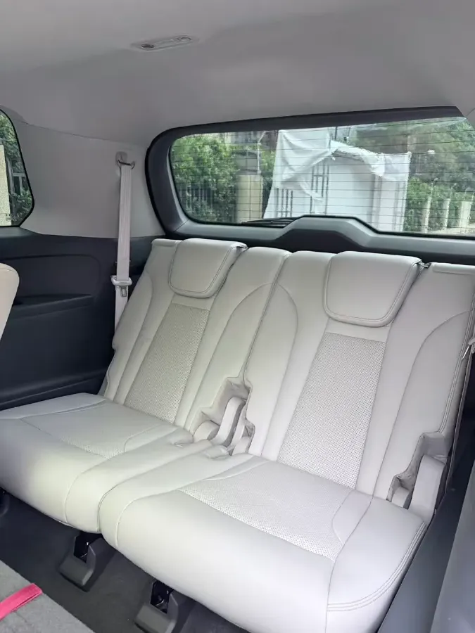 2022 GAC Trumpchi GS8 2.0T 252HP L4 8AT,autocango,china used car exporter,china ev exporter,chinese used car exporter,chinese used ev exporter