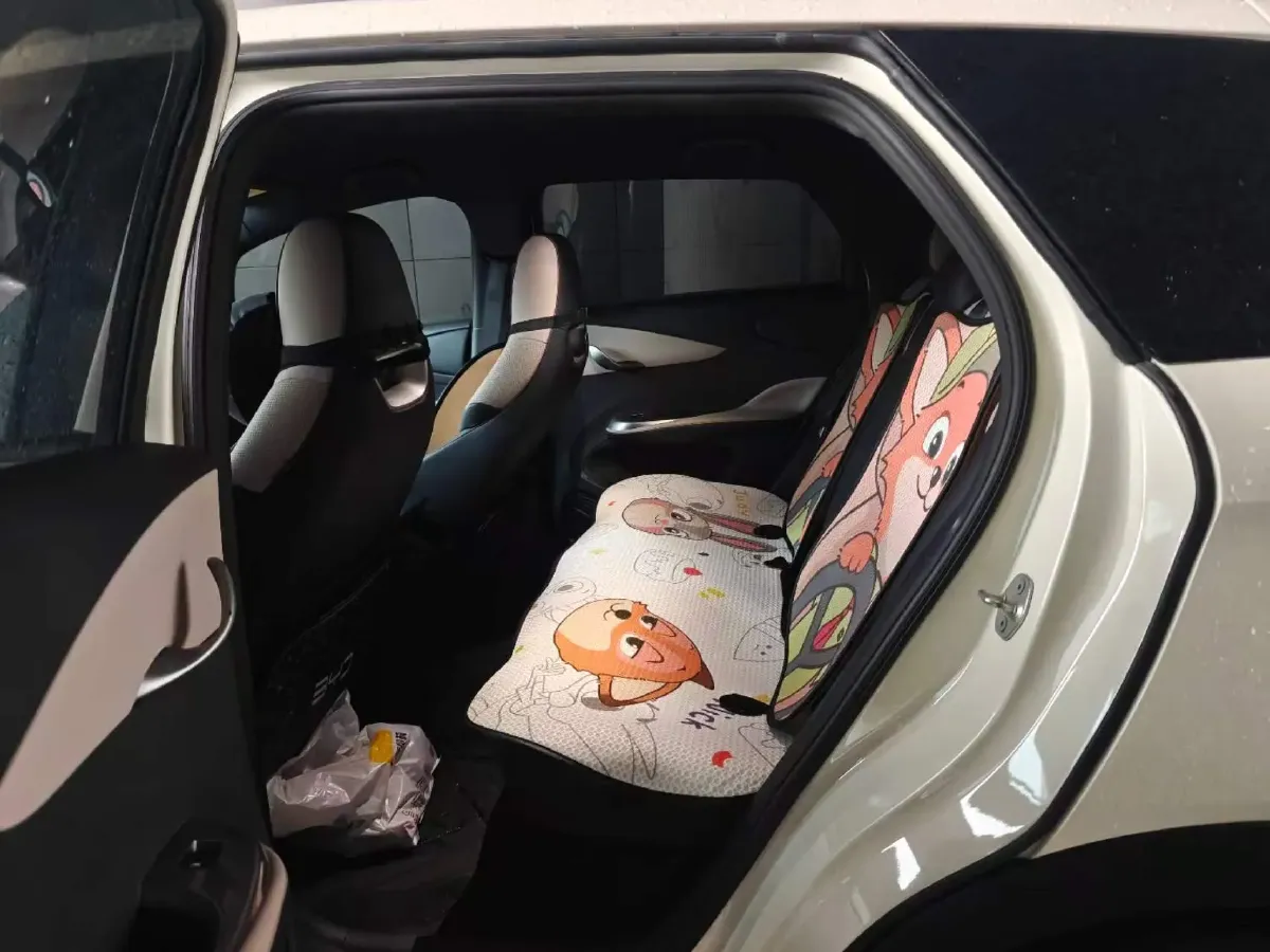 2025 BYD Dolphin BEV 44.928KWH,autocango,china used car exporter,china ev exporter,chinese used car exporter,chinese used ev exporter