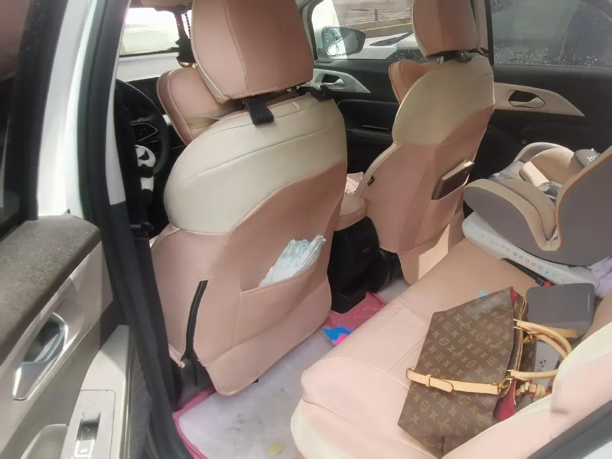 2022 Geometry E BEV 39.4KWH,autocango,china used car exporter,china ev exporter,chinese used car exporter,chinese used ev exporter