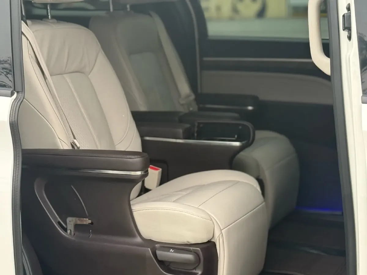 2021 GAC Trumpchi M8 2.0T 252HP L4 8AT,autocango,china used car exporter,china ev exporter,chinese used car exporter,chinese used ev exporter