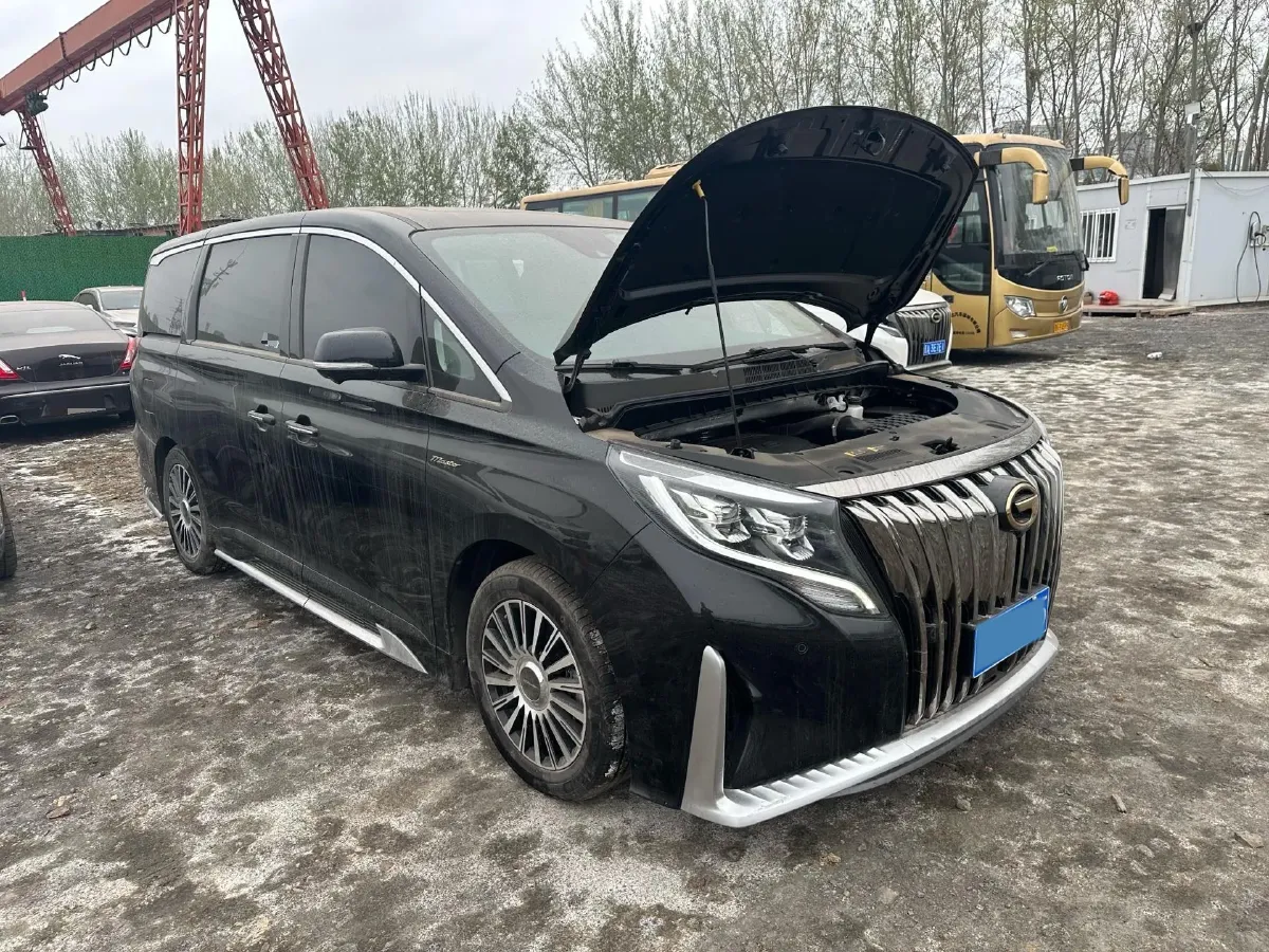 2021 GAC Trumpchi M8 2.0T 252HP L4 8AT,autocango,china used car exporter,china ev exporter,chinese used car exporter,chinese used ev exporter