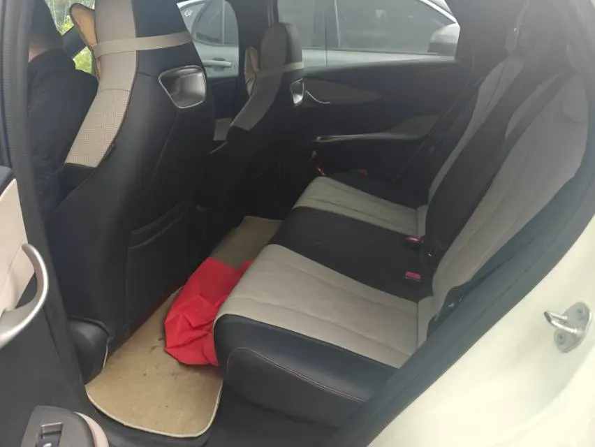 2025 BYD Dolphin BEV 44.928KWH,autocango,china used car exporter,china ev exporter,chinese used car exporter,chinese used ev exporter