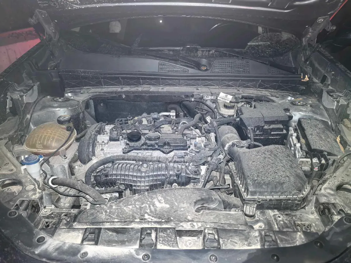 2019 Beijing BJ40 2.0T 218HP L4 6AT,autocango,china used car exporter,china ev exporter,chinese used car exporter,chinese used ev exporter