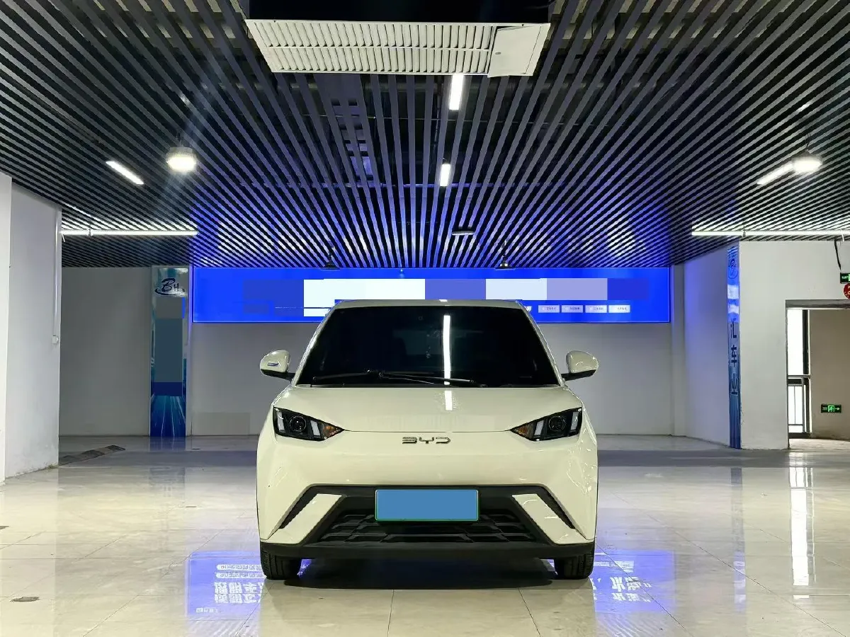 2024 BYD Seagull BEV 30.08KWH,autocango,china used car exporter,china ev exporter,chinese used car exporter,chinese used ev exporter