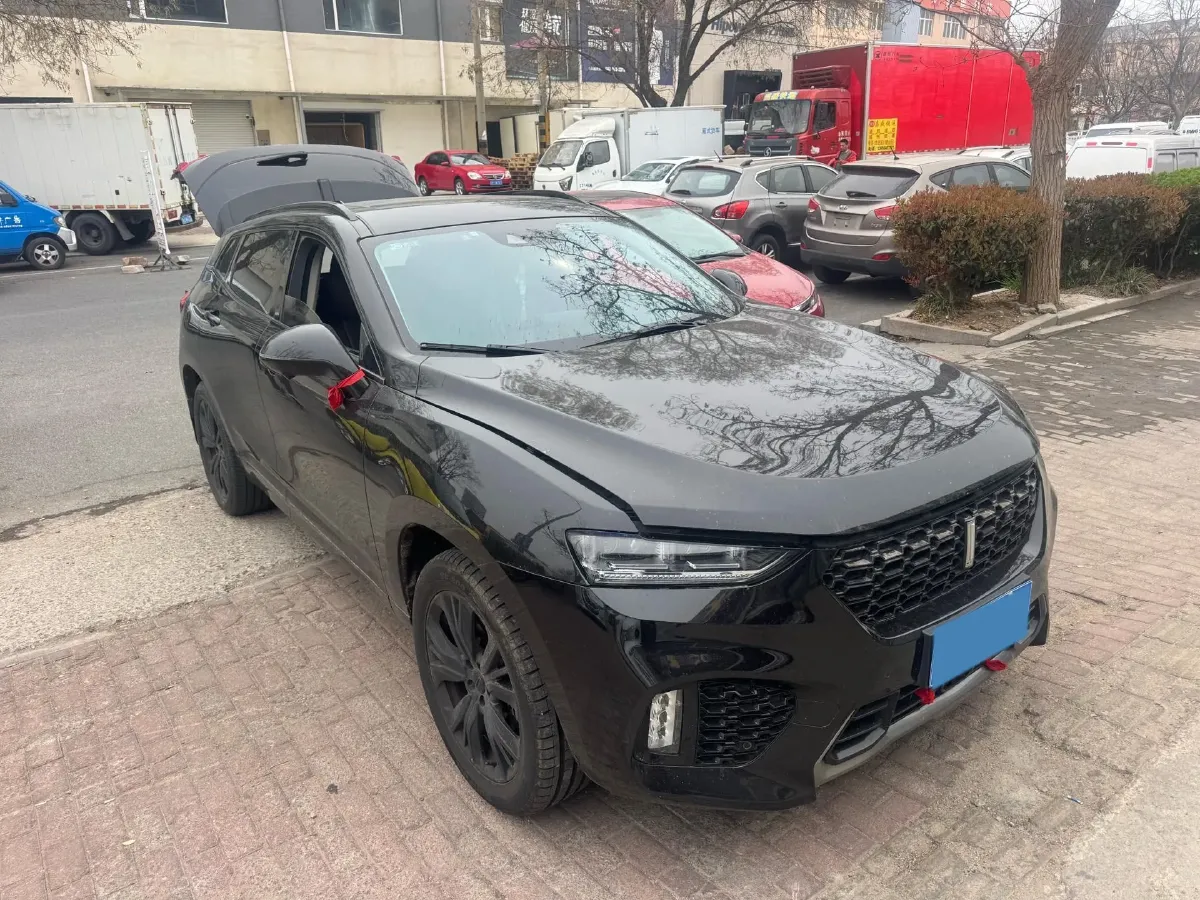 2019 WEY VV7 2.0T 227HP L4 7DCT,autocango,china used car exporter,china ev exporter,chinese used car exporter,chinese used ev exporter
