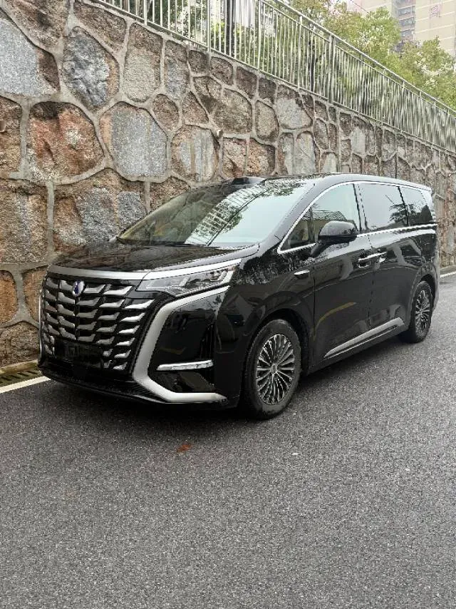 2025 Denza D9 1.5T 156HP L4 E-CVT PHEV 40KWH,autocango,china used car exporter,china ev exporter,chinese used car exporter,chinese used ev exporter
