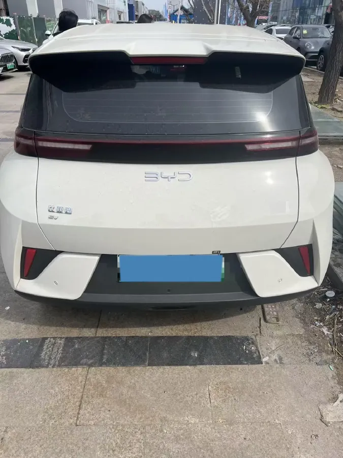 2025 BYD Seagull BEV 30.08KWH,autocango,china used car exporter,china ev exporter,chinese used car exporter,chinese used ev exporter