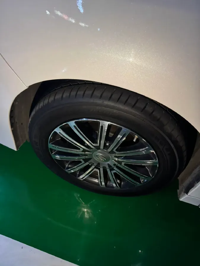 2021 GAC Trumpchi M8 2.0T 252HP L4 8AT,autocango,china used car exporter,china ev exporter,chinese used car exporter,chinese used ev exporter