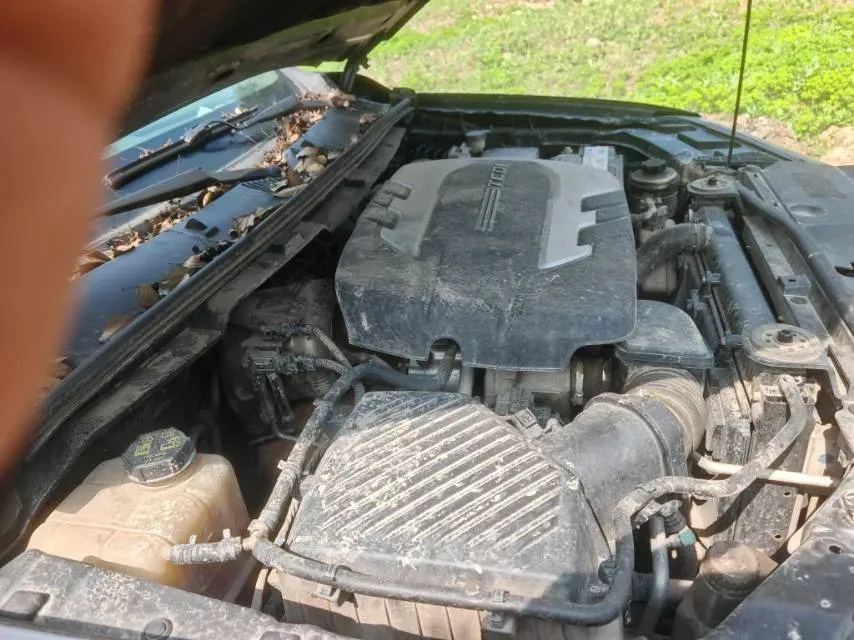 2020 MAXUS T70 2.0T 163HP L4 6AT,autocango,china used car exporter,china ev exporter,chinese used car exporter,chinese used ev exporter