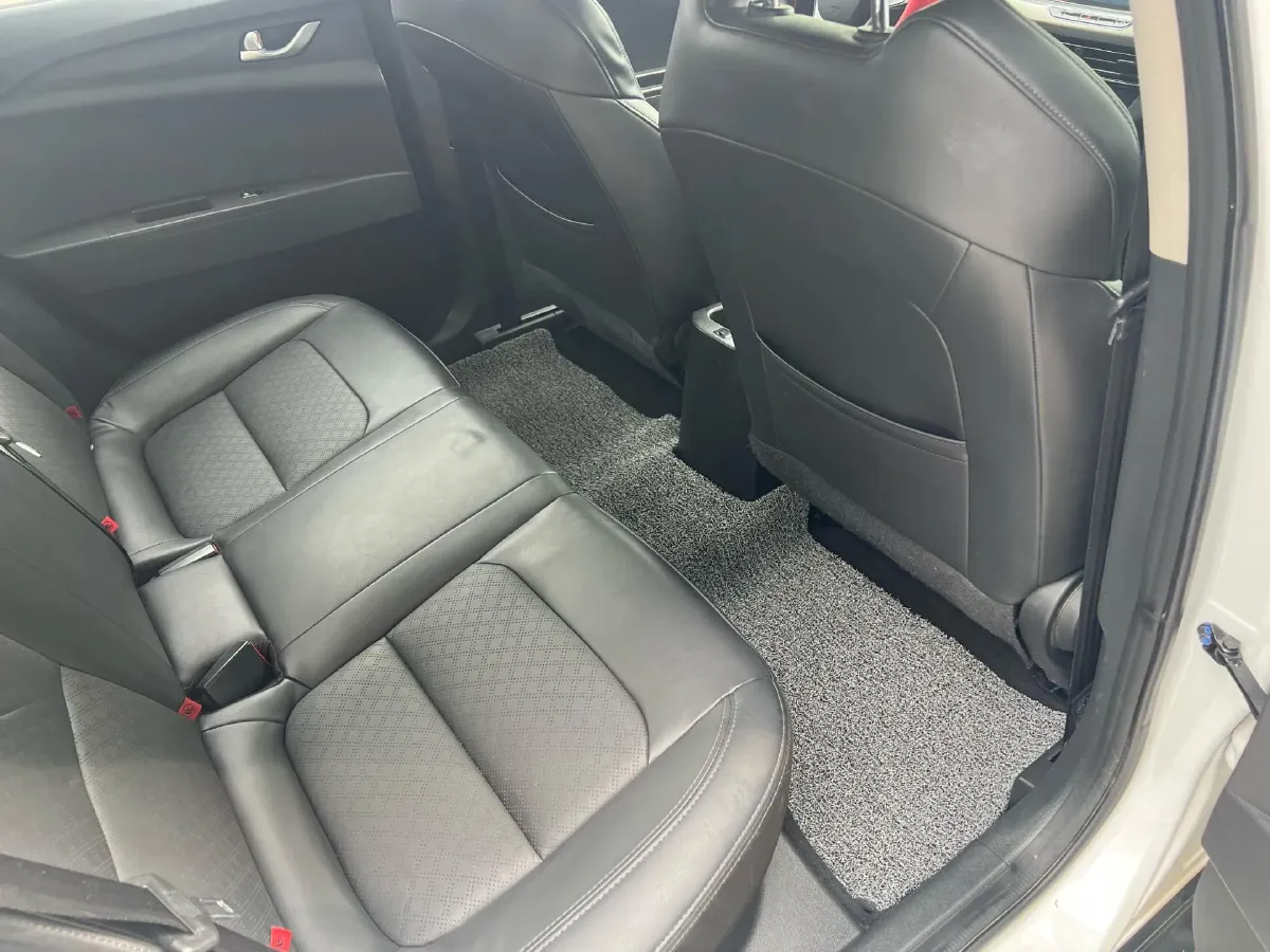 2020 Dongfeng RuiQi 6 BEV 67.09KWH,autocango,china used car exporter,china ev exporter,chinese used car exporter,chinese used ev exporter