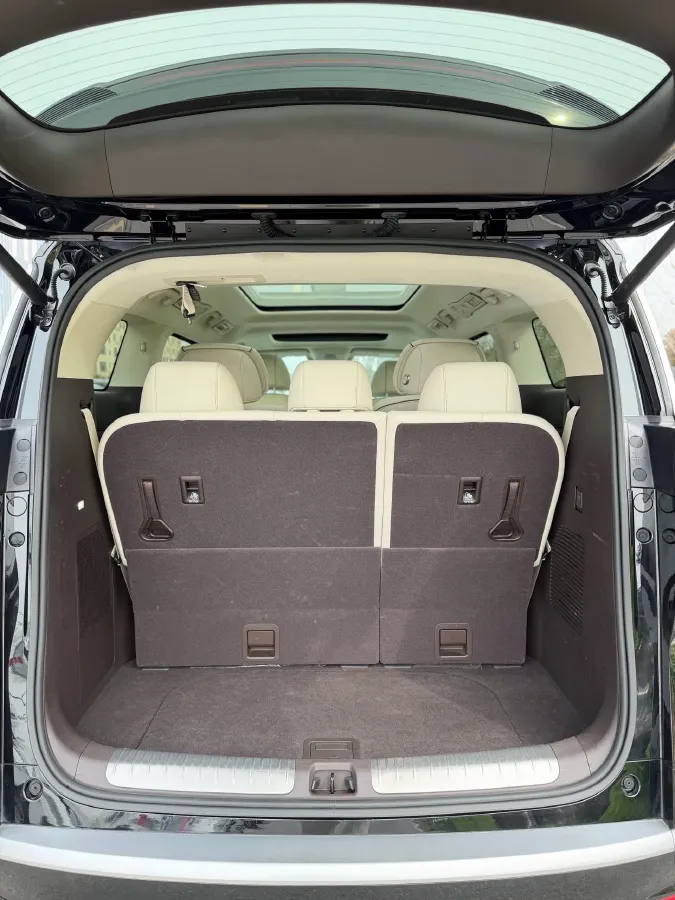 2024 Denza D9 1.5T 139HP L4 E-CVT PHEV 20.39KWH,autocango,china used car exporter,china ev exporter,chinese used car exporter,chinese used ev exporter