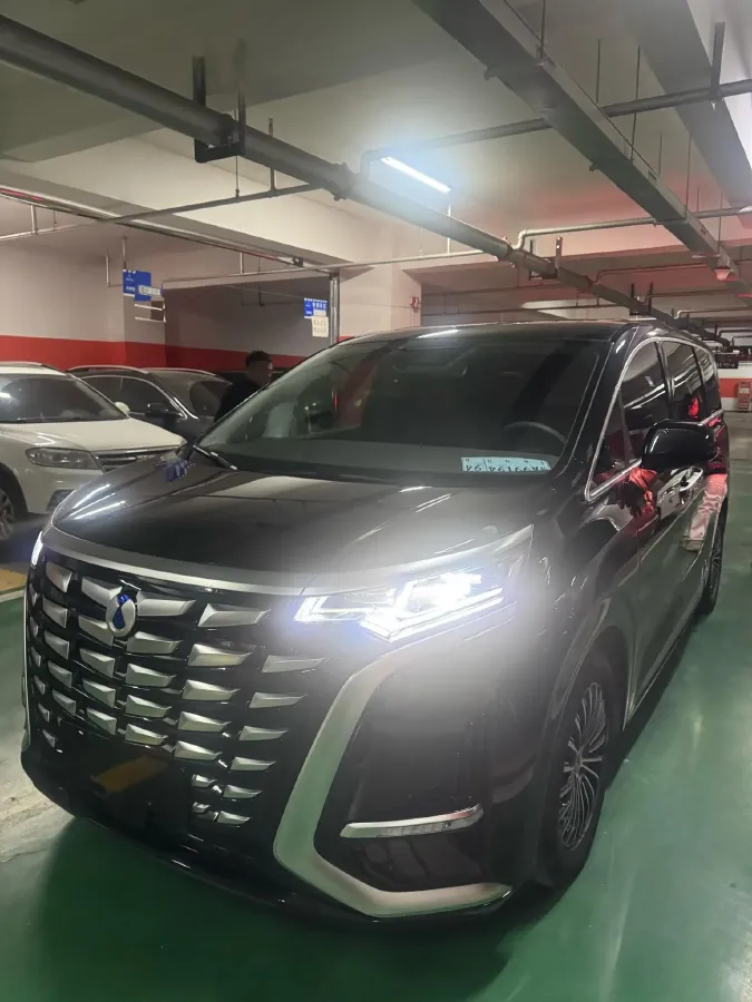 2023 Denza D9 1.5T 139HP L4 E-CVT PHEV 20.39KWH,autocango,china used car exporter,china ev exporter,chinese used car exporter,chinese used ev exporter