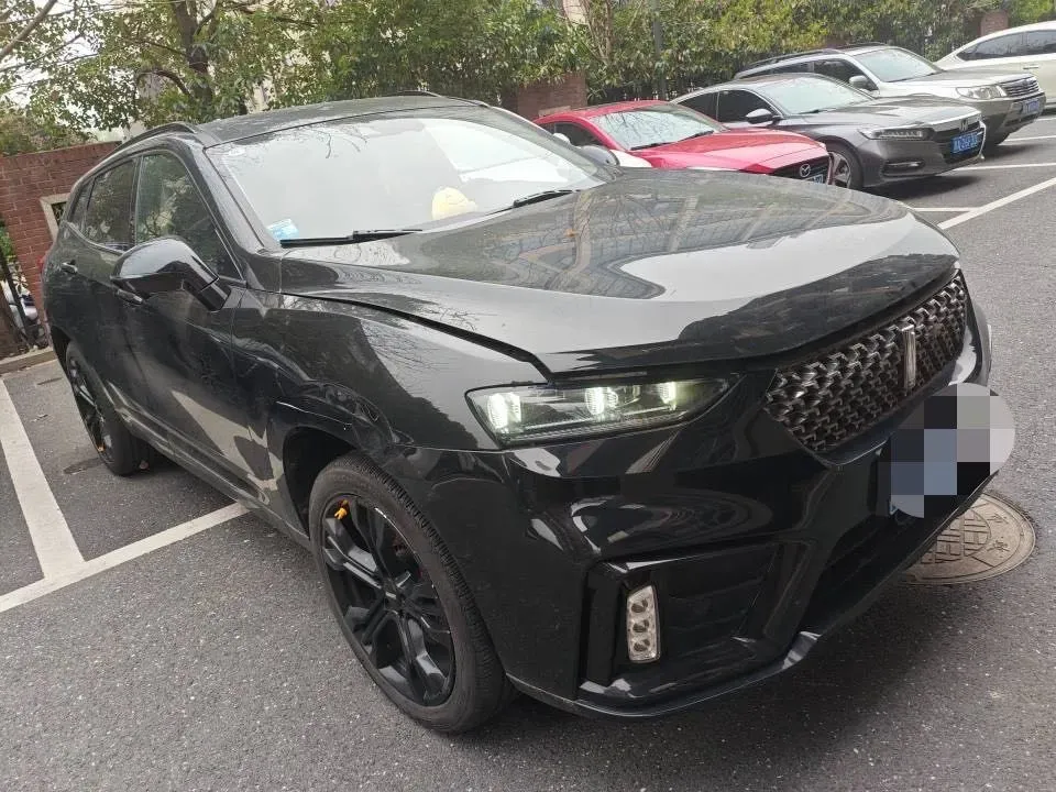 2020 WEY VV7 2.0T 227HP L4 7DCT,autocango,china used car exporter,china ev exporter,chinese used car exporter,chinese used ev exporter