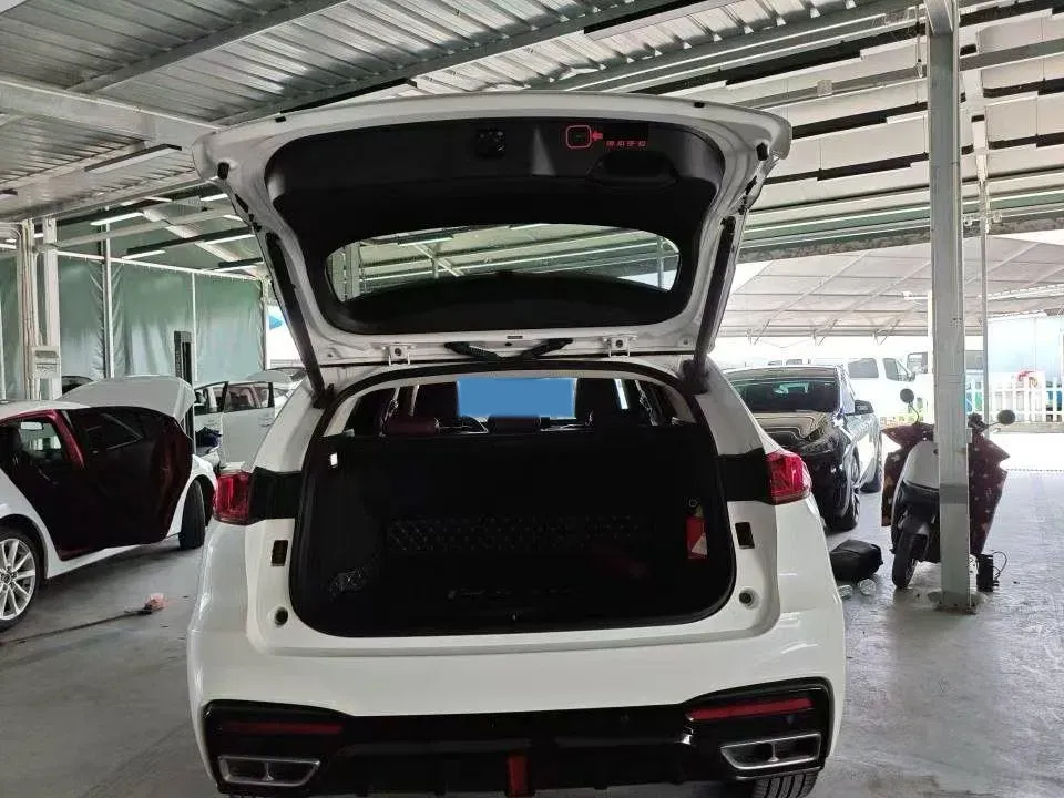 2020 WEY VV7 2.0T 227HP L4 7DCT,autocango,china used car exporter,china ev exporter,chinese used car exporter,chinese used ev exporter