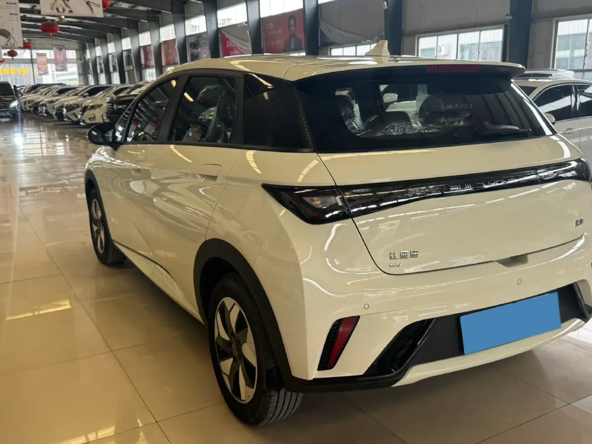 2025 BYD Dolphin BEV 44.928KWH,autocango,china used car exporter,china ev exporter,chinese used car exporter,chinese used ev exporter