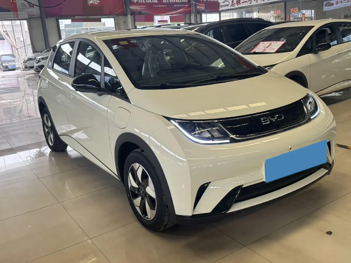 2025 BYD Dolphin BEV 44.928KWH,autocango,china used car exporter,china ev exporter,chinese used car exporter,chinese used ev exporter