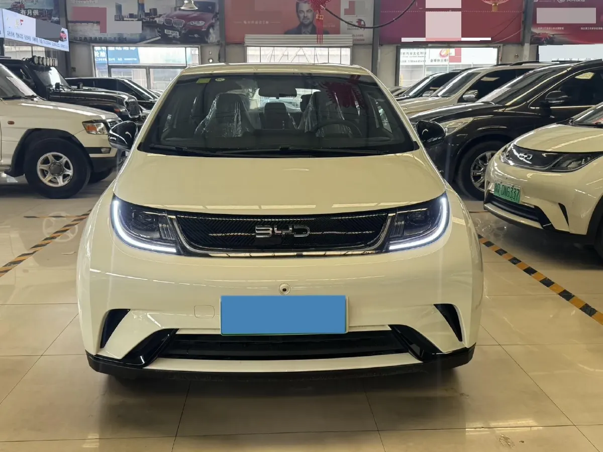 2025 BYD Dolphin BEV 44.928KWH,autocango,china used car exporter,china ev exporter,chinese used car exporter,chinese used ev exporter