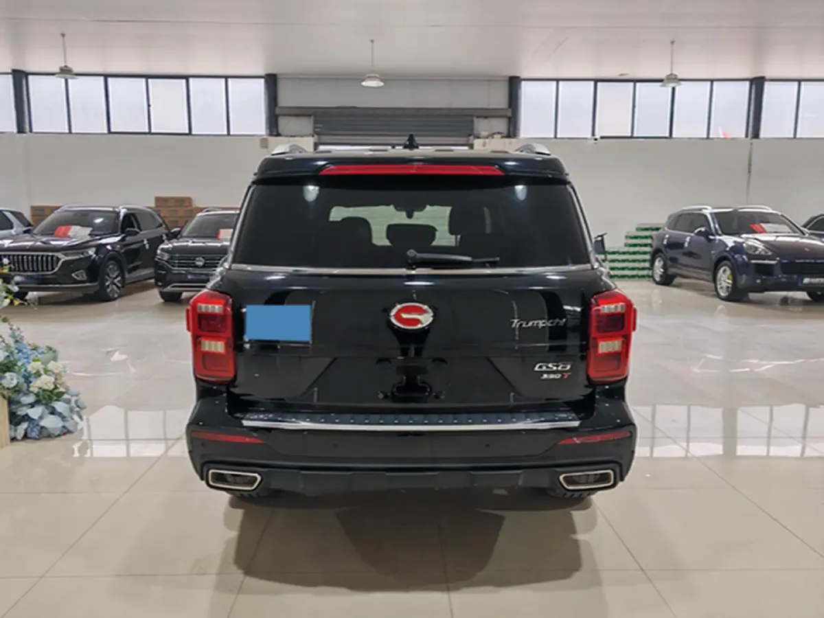2020 GAC Trumpchi GS8 2.0T 252HP L4 6AT,autocango,china used car exporter,china ev exporter,chinese used car exporter,chinese used ev exporter
