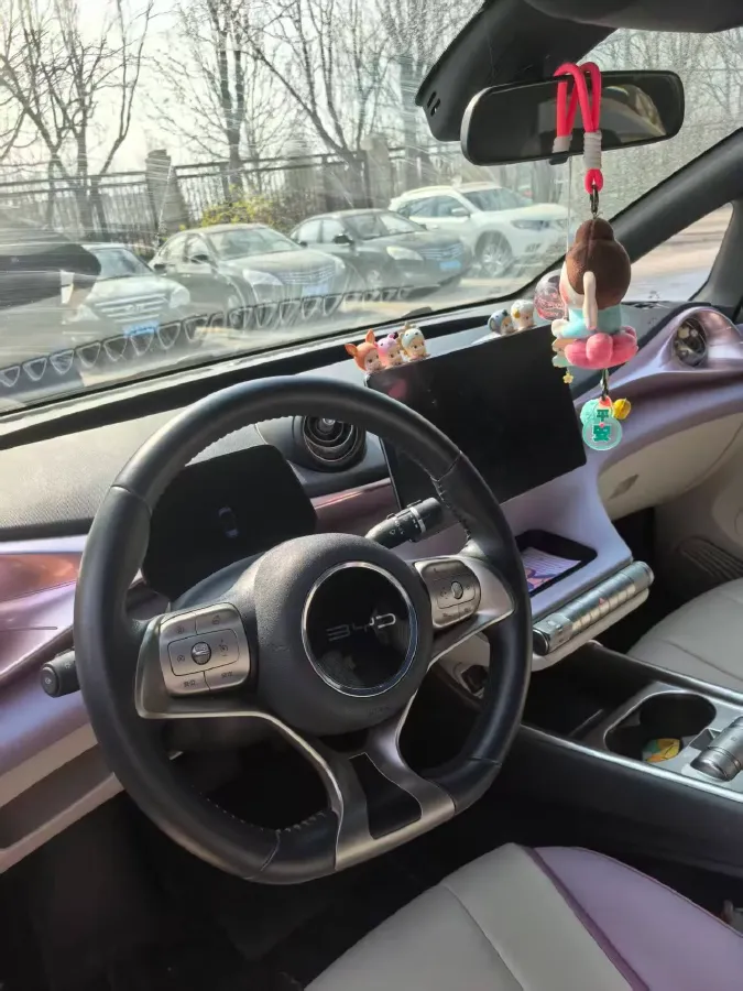 2021 BYD Yuan Pro BEV 50.1KWH,autocango,china used car exporter,china ev exporter,chinese used car exporter,chinese used ev exporter