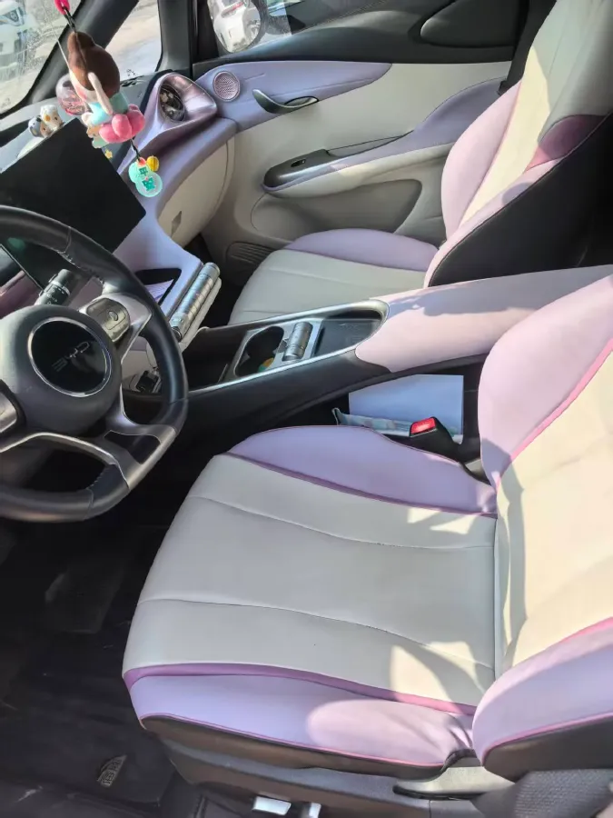 2021 BYD Yuan Pro BEV 50.1KWH,autocango,china used car exporter,china ev exporter,chinese used car exporter,chinese used ev exporter