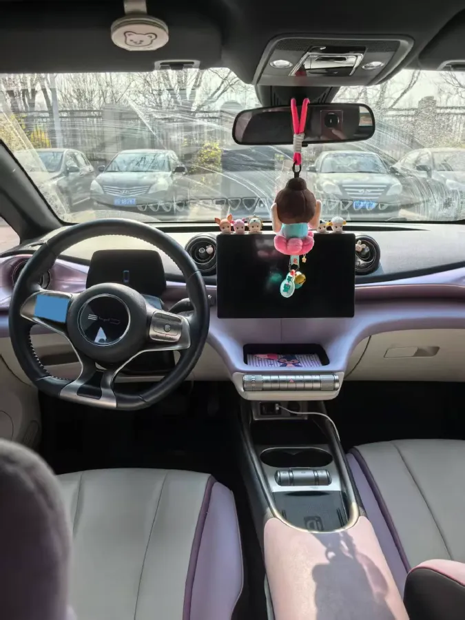 2021 BYD Yuan Pro BEV 50.1KWH,autocango,china used car exporter,china ev exporter,chinese used car exporter,chinese used ev exporter