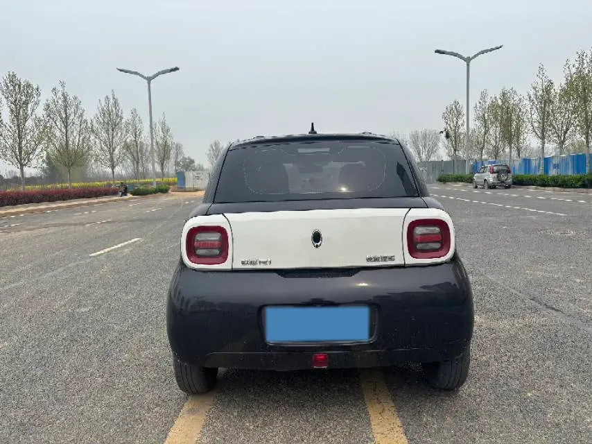 2019 Ora BlackCat BEV 28.5KWH,autocango,china used car exporter,china ev exporter,chinese used car exporter,chinese used ev exporter