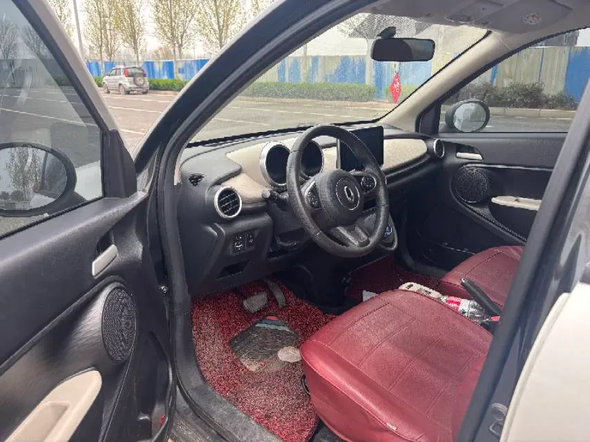 2019 Ora BlackCat BEV 28.5KWH,autocango,china used car exporter,china ev exporter,chinese used car exporter,chinese used ev exporter