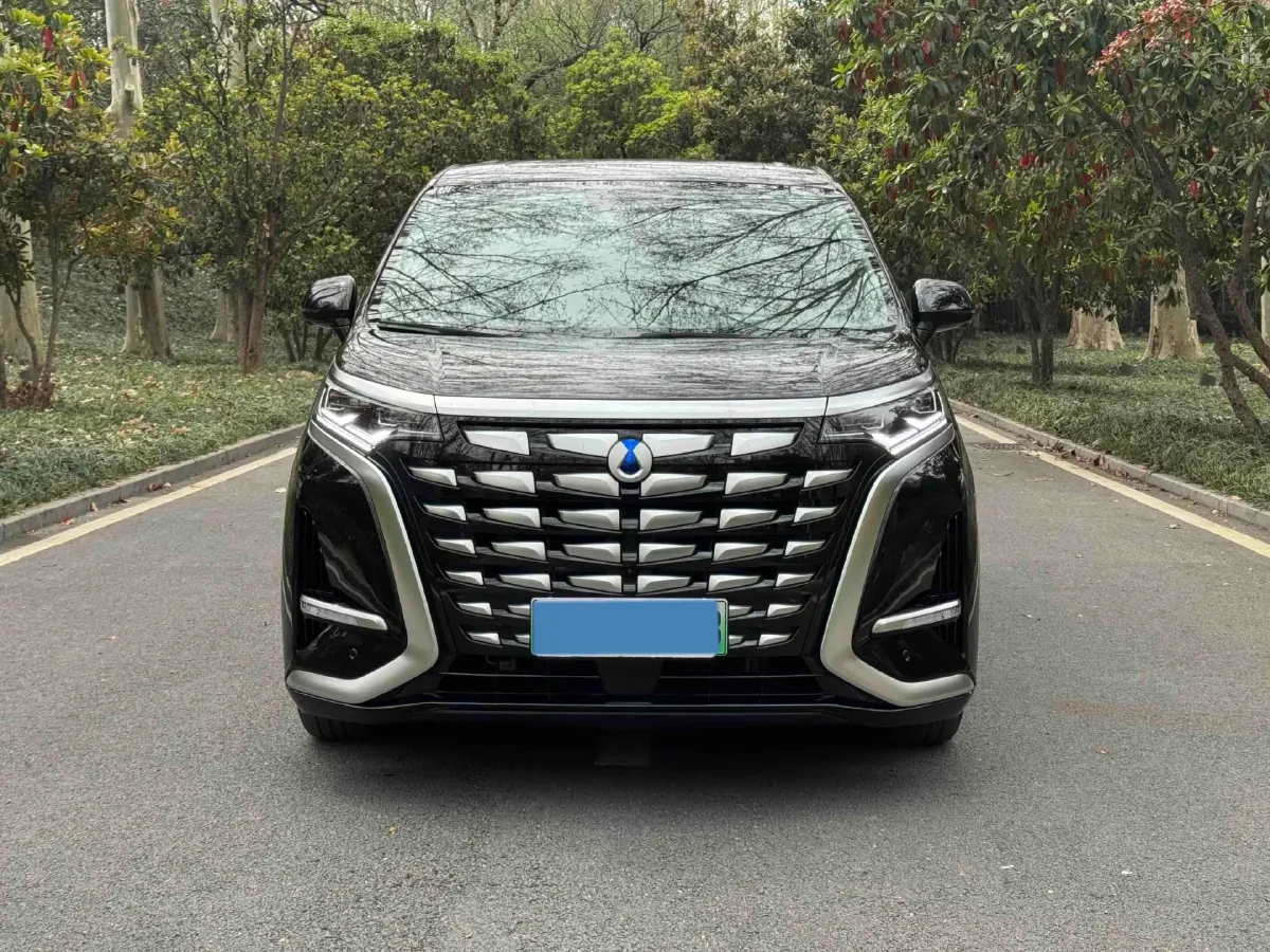2024 Denza D9 1.5T 139HP L4 E-CVT PHEV 40KWH,autocango,china used car exporter,china ev exporter,chinese used car exporter,chinese used ev exporter