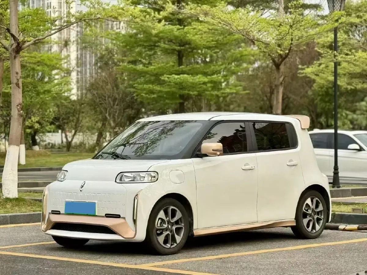 2022 Ora BlackCat BEV 33KWH,autocango,china used car exporter,china ev exporter,chinese used car exporter,chinese used ev exporter