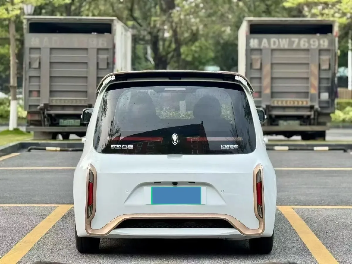 2022 Ora BlackCat BEV 33KWH,autocango,china used car exporter,china ev exporter,chinese used car exporter,chinese used ev exporter