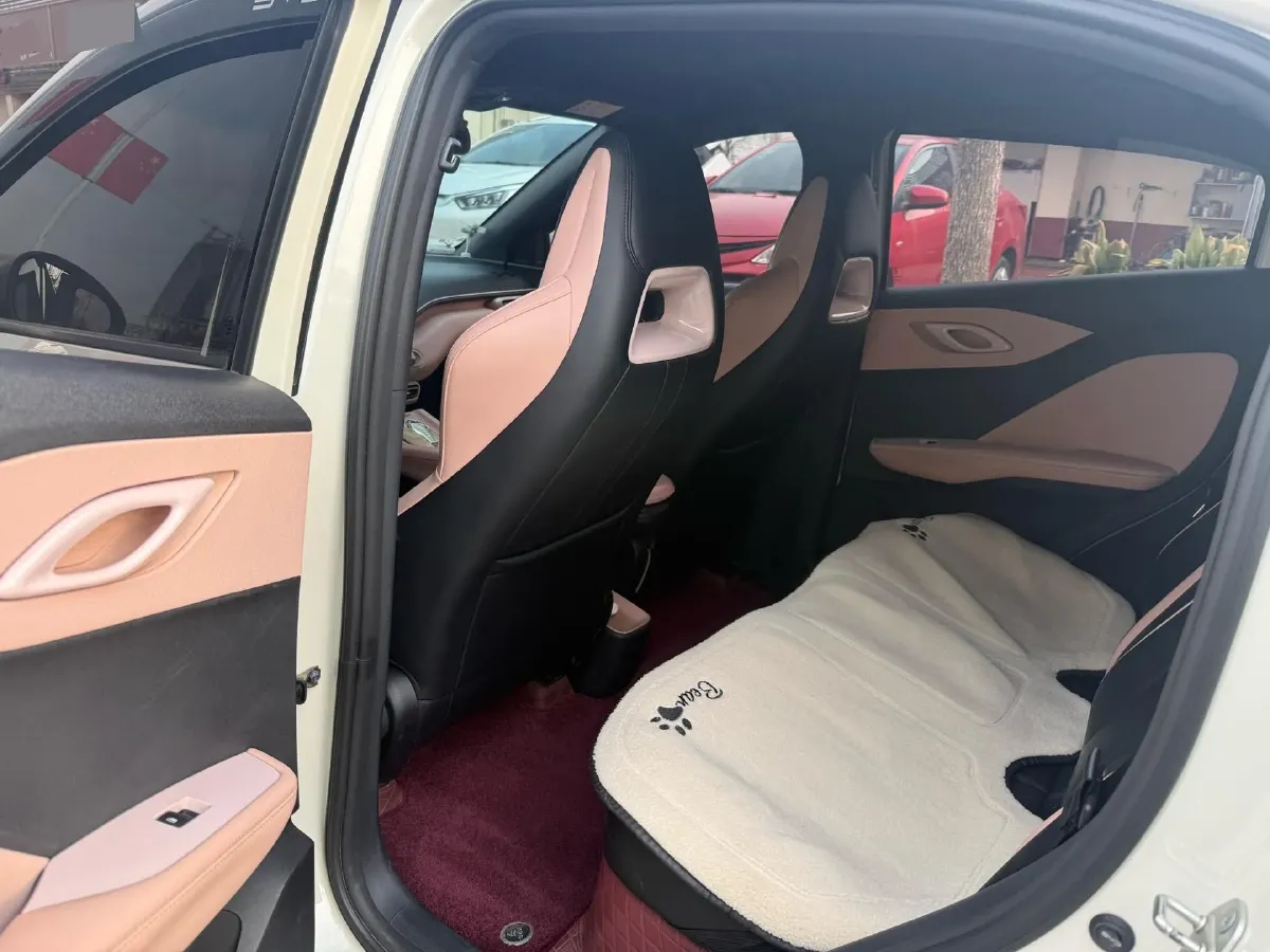 2023 BYD Seagull BEV 30.08KWH,autocango,china used car exporter,china ev exporter,chinese used car exporter,chinese used ev exporter