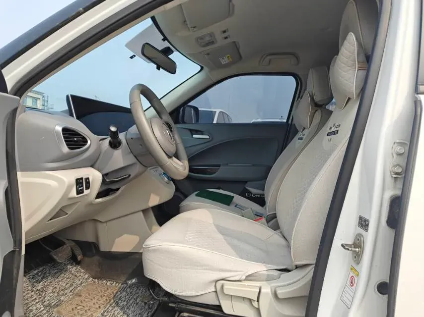 2020 Ora WhiteCat BEV 29.4KWH,autocango,china used car exporter,china ev exporter,chinese used car exporter,chinese used ev exporter