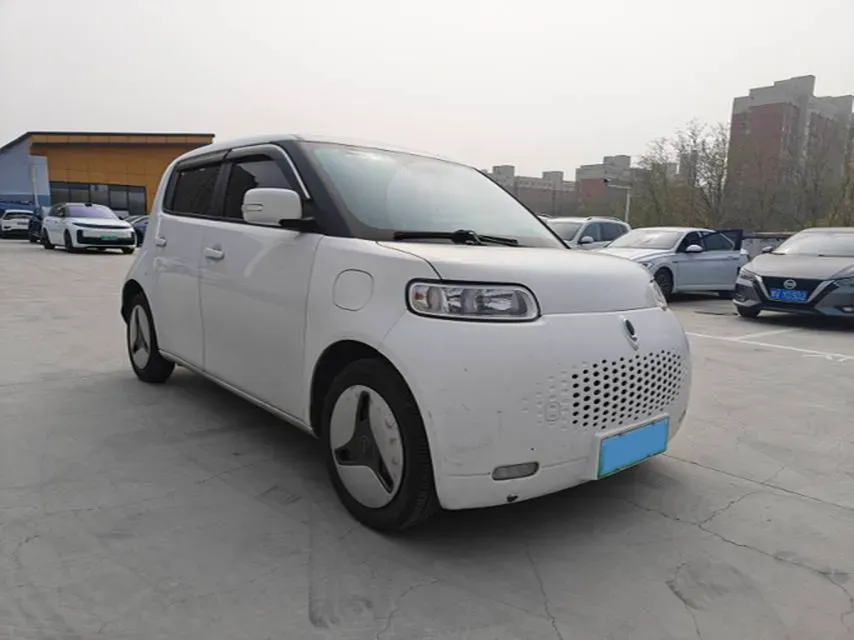 2020 Ora WhiteCat BEV 29.4KWH,autocango,china used car exporter,china ev exporter,chinese used car exporter,chinese used ev exporter