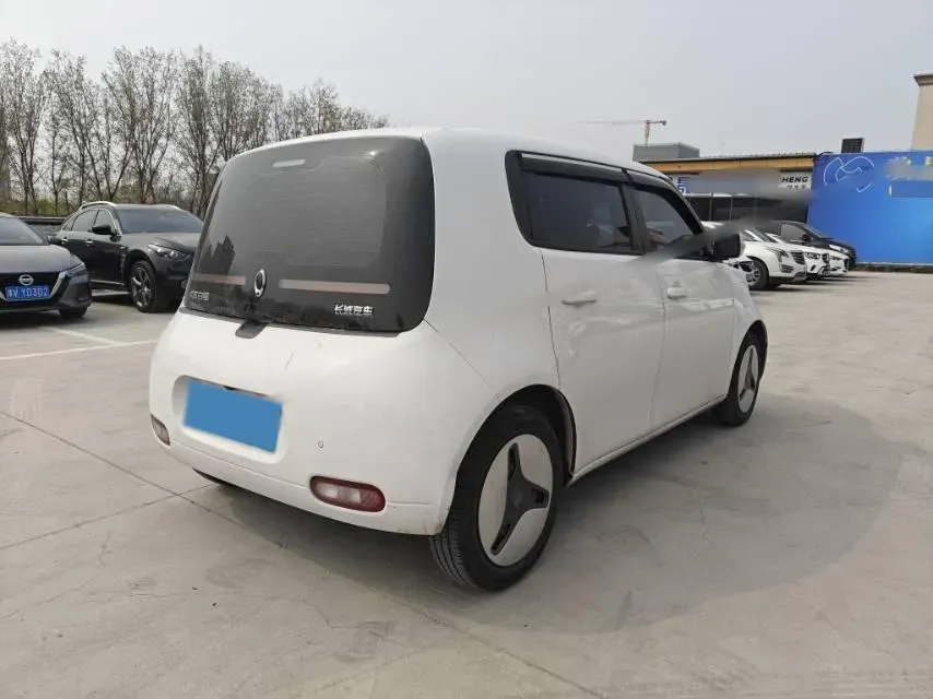 2020 Ora WhiteCat BEV 29.4KWH,autocango,china used car exporter,china ev exporter,chinese used car exporter,chinese used ev exporter