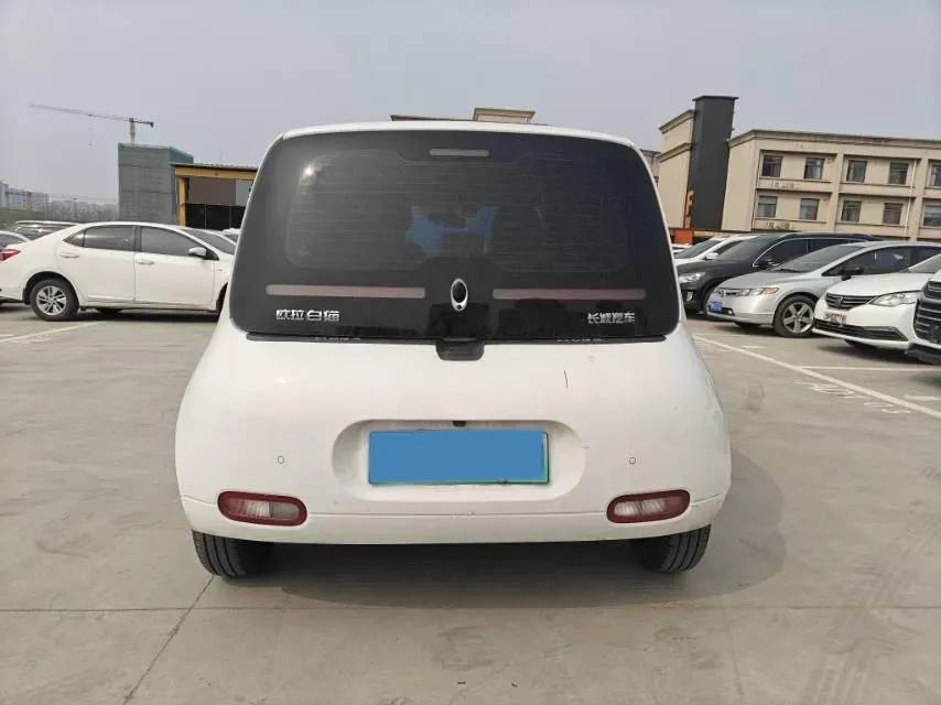 2020 Ora WhiteCat BEV 29.4KWH,autocango,china used car exporter,china ev exporter,chinese used car exporter,chinese used ev exporter
