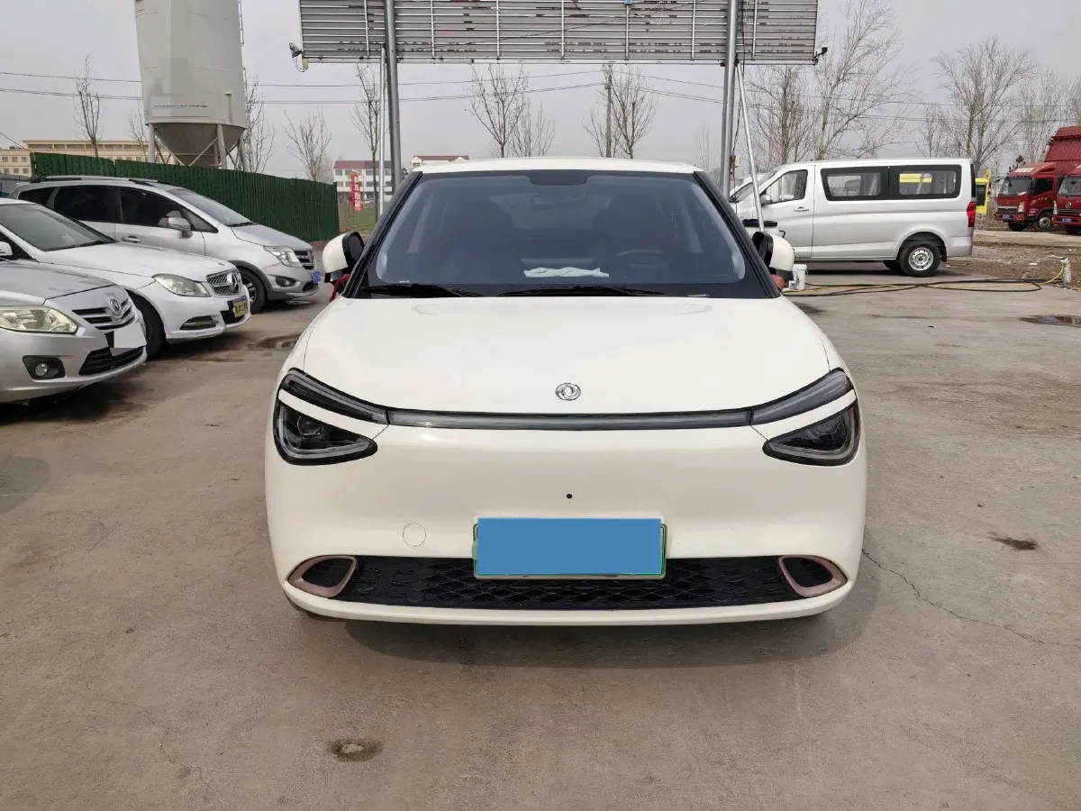 2025 DongFeng Nammi 01 BEV,autocango,china used car exporter,china ev exporter,chinese used car exporter,chinese used ev exporter