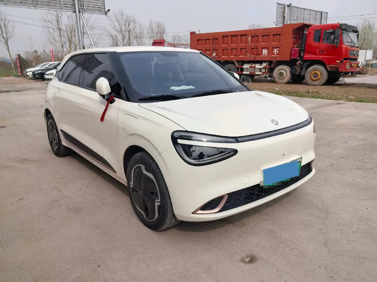 2025 DongFeng Nammi 01 BEV,autocango,china used car exporter,china ev exporter,chinese used car exporter,chinese used ev exporter