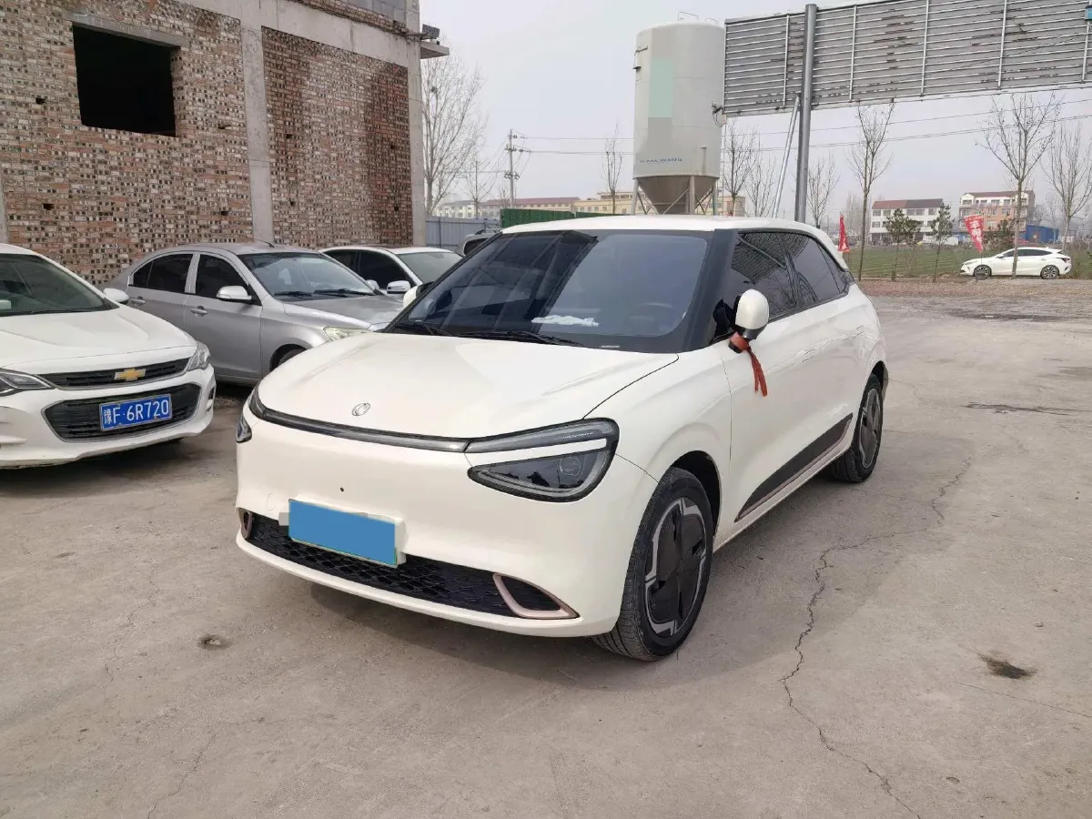 2025 DongFeng Nammi 01 BEV,autocango,china used car exporter,china ev exporter,chinese used car exporter,chinese used ev exporter