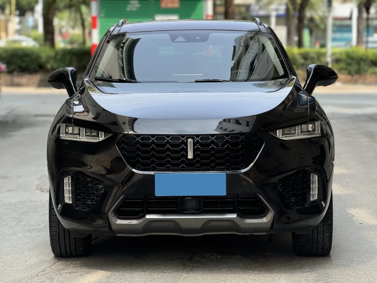 2017 WEY VV7 2.0T 234HP L4 7DCT,autocango,china used car exporter,china ev exporter,chinese used car exporter,chinese used ev exporter