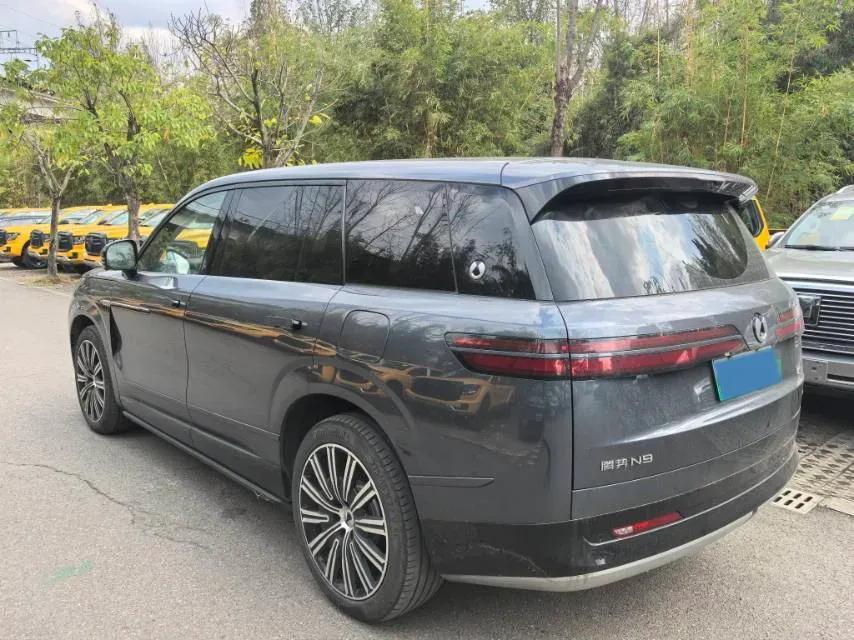 2025 Denza DenzaN9 2.0T 207HP L4 E-CVT PHEV,autocango,china used car exporter,china ev exporter,chinese used car exporter,chinese used ev exporter