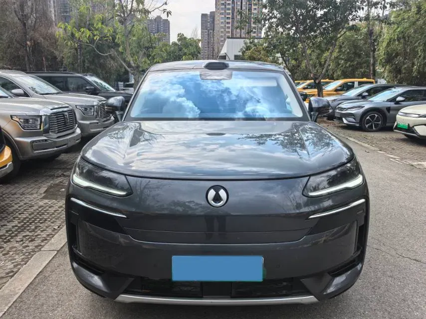 2025 Denza DenzaN9 2.0T 207HP L4 E-CVT PHEV,autocango,china used car exporter,china ev exporter,chinese used car exporter,chinese used ev exporter