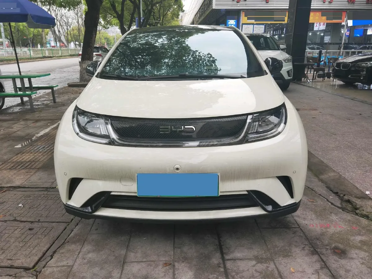2024 BYD Dolphin BEV 44.928KWH,autocango,china used car exporter,china ev exporter,chinese used car exporter,chinese used ev exporter