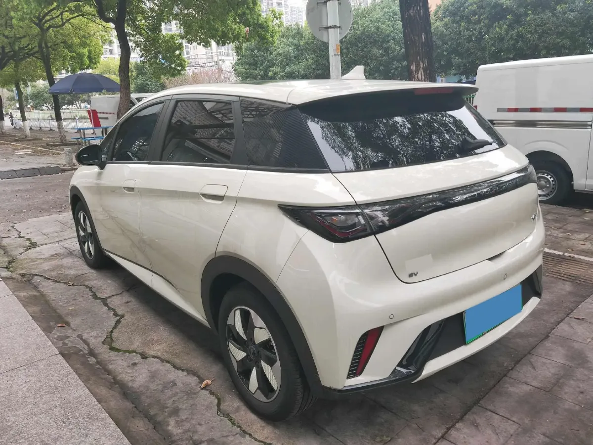 2024 BYD Dolphin BEV 44.928KWH,autocango,china used car exporter,china ev exporter,chinese used car exporter,chinese used ev exporter