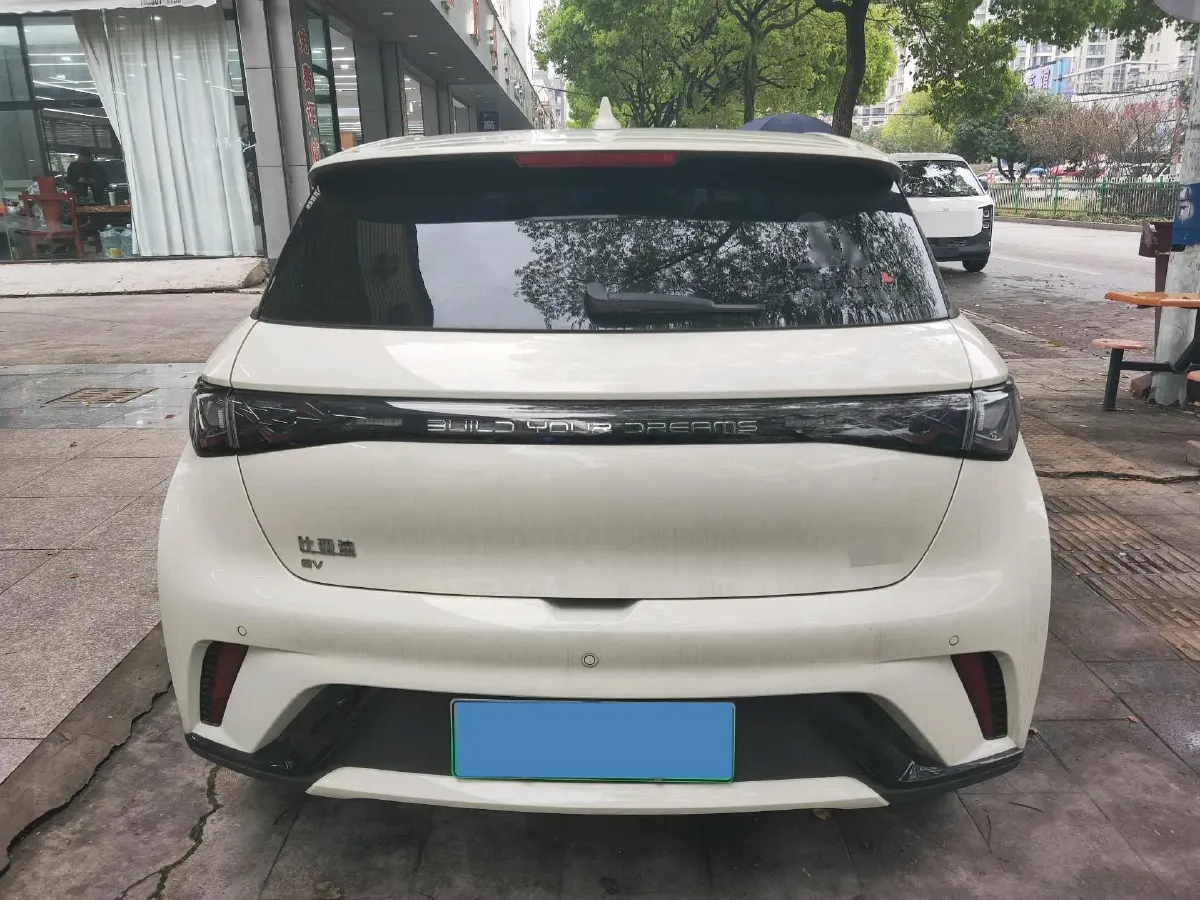 2024 BYD Dolphin BEV 44.928KWH,autocango,china used car exporter,china ev exporter,chinese used car exporter,chinese used ev exporter