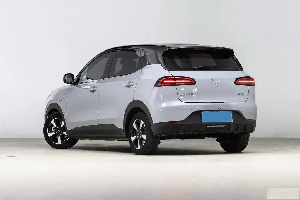 2024 WuLing BinGuoPLUS BEV 31.9KWH,autocango,china used car exporter,china ev exporter,chinese used car exporter,chinese used ev exporter