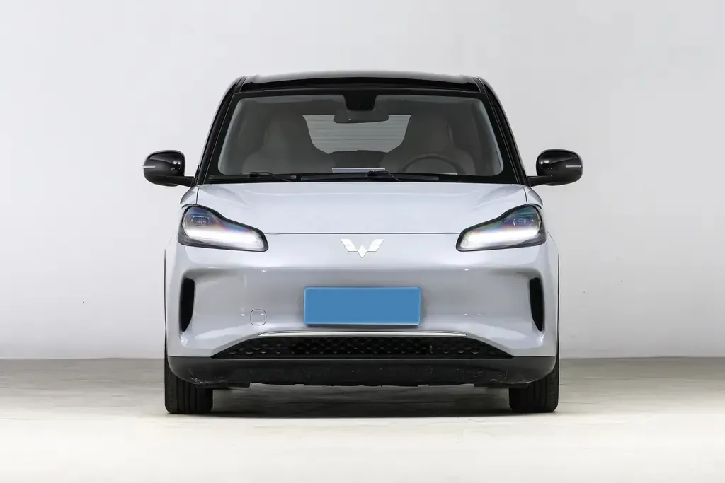 2024 WuLing BinGuoPLUS BEV 31.9KWH,autocango,china used car exporter,china ev exporter,chinese used car exporter,chinese used ev exporter